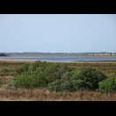 Im Coorong-Nationalpark, Blick über das Brackwassergebiet auf die Younghusband Halbinsel